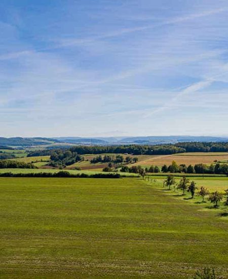 Landschaft bei Tengen